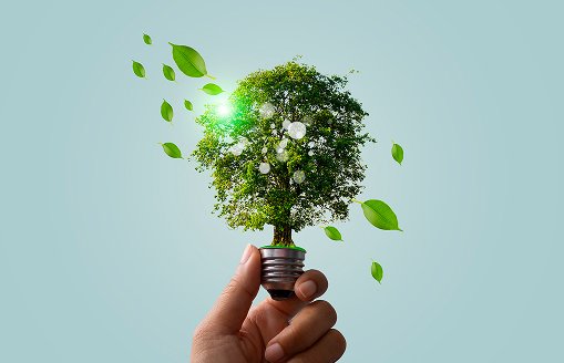 Business Integrity, Regulatory Compliance, and Quality Management